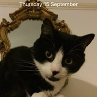 Daniel Newton-Ransom