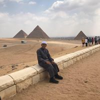 Walid Bashasha