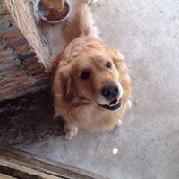 เบิร์ด เบิร์ด