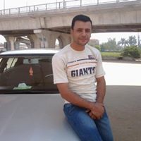 هشام الليثى