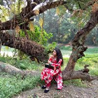 অজানা পথিক