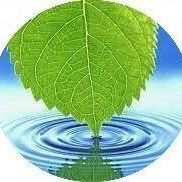 د.راندا حمدي