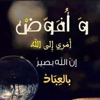 Mohammed Abd El Badee