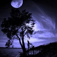 ملاك الشمري