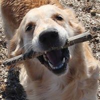 Елица Уливерова-Райкова