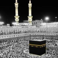 إبراهيم مطر