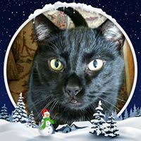 Wendy Gerster Kasing