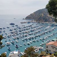 Sharon Shepard-Byrns