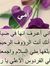 Seham E...