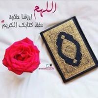 محمد ابو شتا