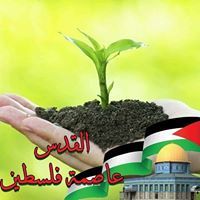 Marwa Esmail