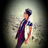 محمود الغوري