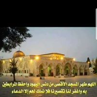 انس نورالدين