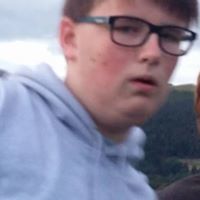 Will Holbrook