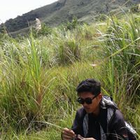 Ardian Dhyana AMd