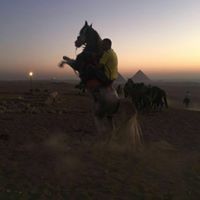 Mohammad Ismail