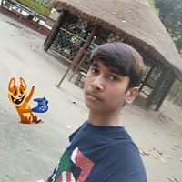 Mayank Tripathi