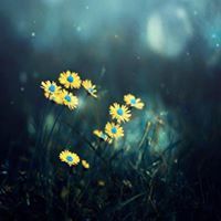 يمنى الكركي