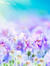 Sumire Gemz