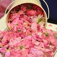 Nehal Farouk