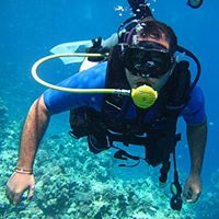 محمود اسماعيل