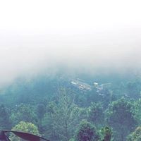 عبدالرحمن الحربي