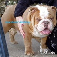 ChrisandLaurie Marshall