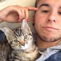 Wesley Rodrigues