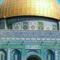 Mahmoud Sayed Haider