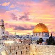 Мухаммед Эль Мунеги