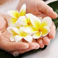 Цвета Пеева