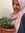 Salma Ehab