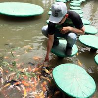 Đạt Vĩnh