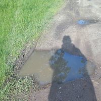 Надежда Лилова