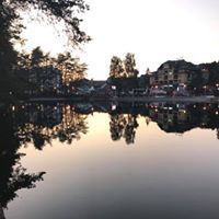 الطاهر الزروق