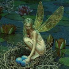Fee Roberts