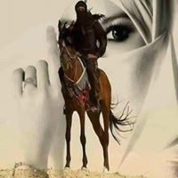 سليمان فياض