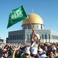 تسنيم محمود الجمل