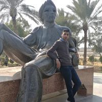 مصطفى المنكوشي