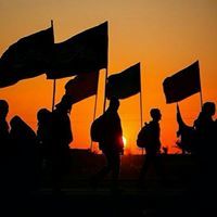 فاطمة صفي الدين