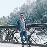 Vivek Roy