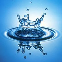 ماجد السرحاني