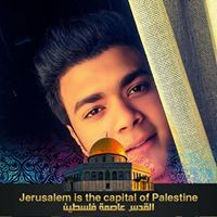 Tarek Mohamed