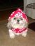 Donna W...