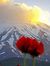Siamak ...