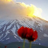 Siamak Shirzad
