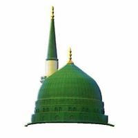 Pirzada Muhammad Mohib