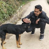 Animesh Anand