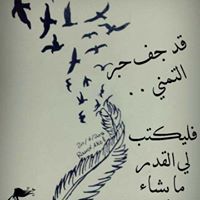 أحمد الحموي