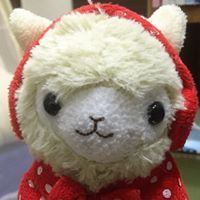 秉洋 黃
